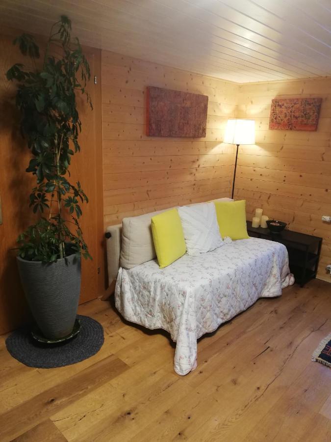 Gemuetliche Wohnung In Einfamilienhaus Alberschwende Kültér fotó